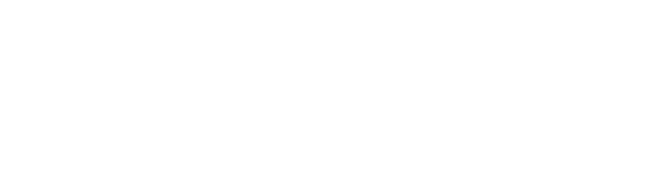Flygbussarna